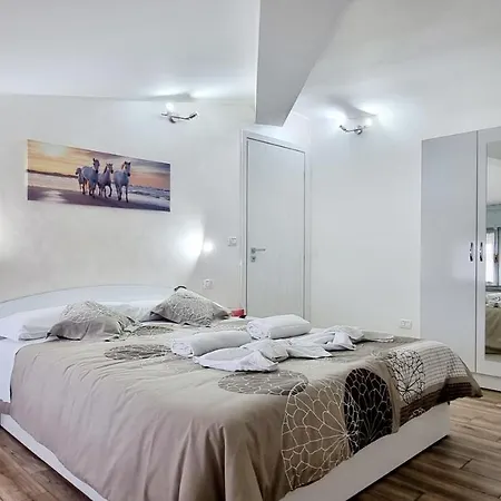 Guest Mandra 12 E 13